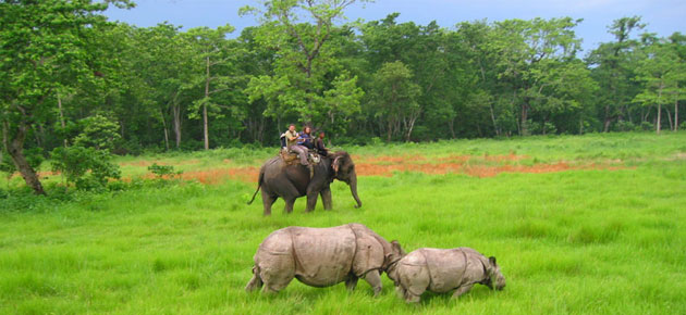 Chitwan Jungle Safari