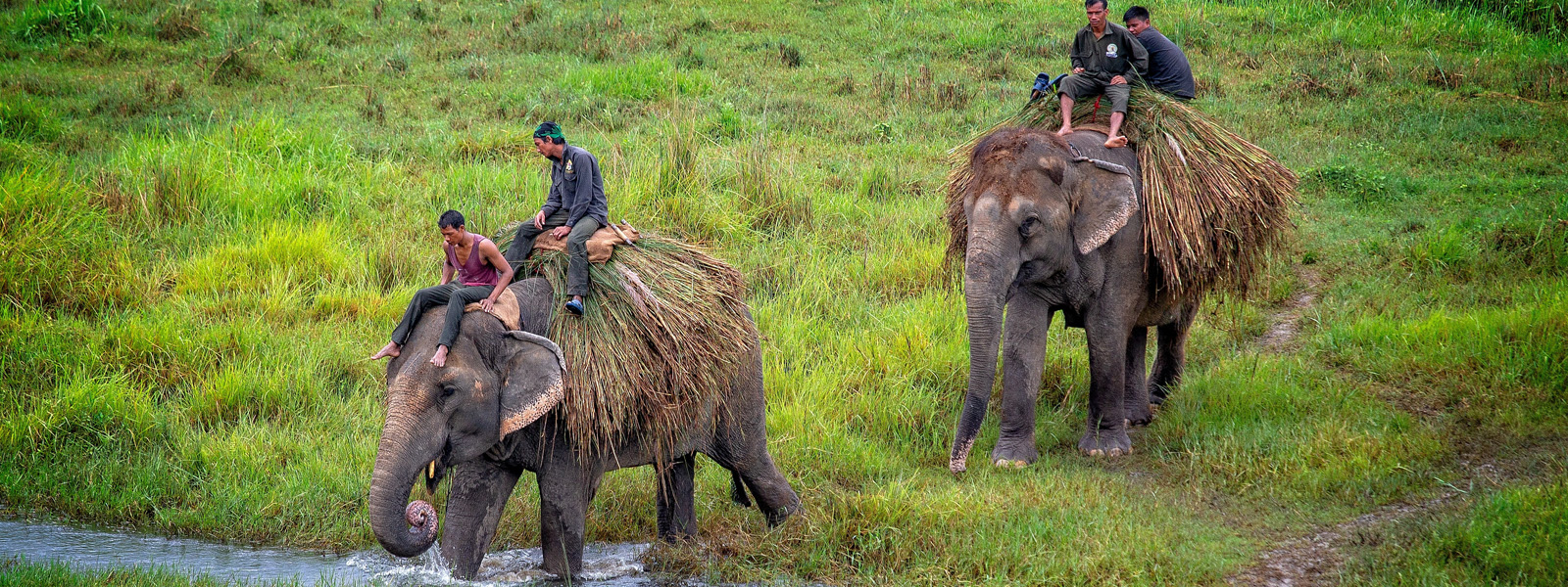 Chitwan National Park Tour