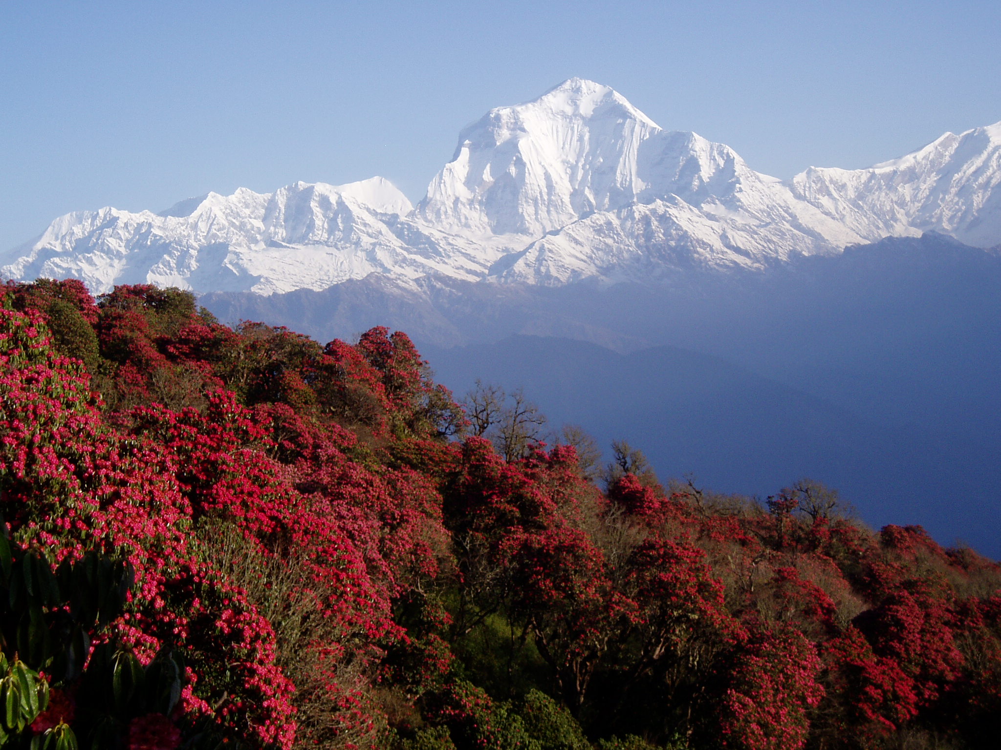 Natural-nepal-Tour