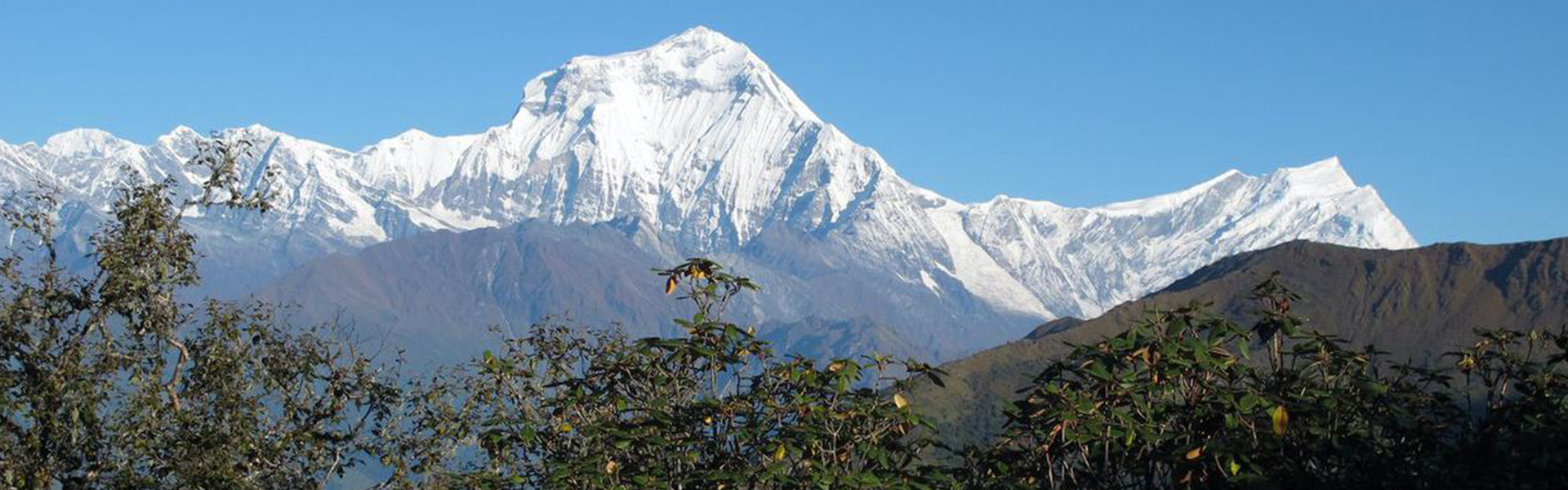 Dhaulagiri Annapurna View Trek – 12 Days Package