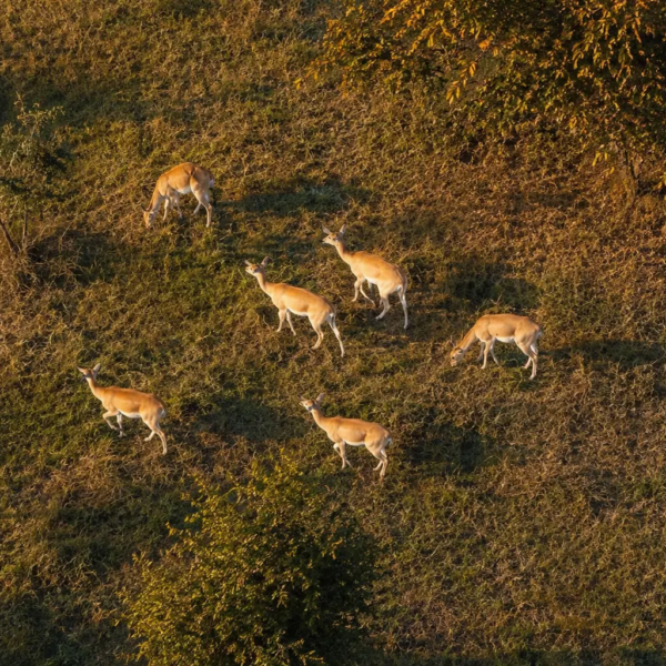 Shuklapanta Wildlife Reserve