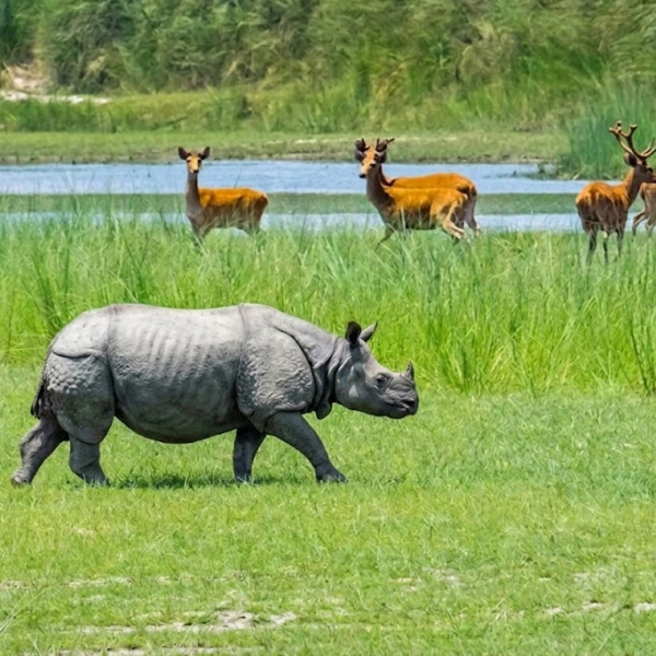 Bardia National Park | Prime Holidays Nepal