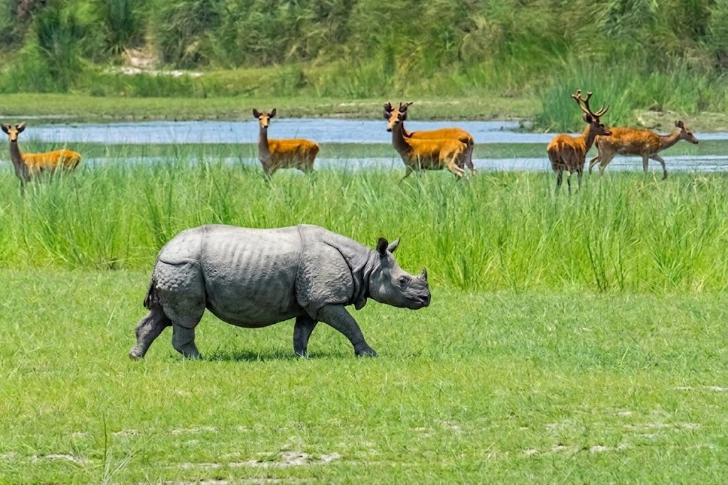 Bardia National Park Wildlife Tour