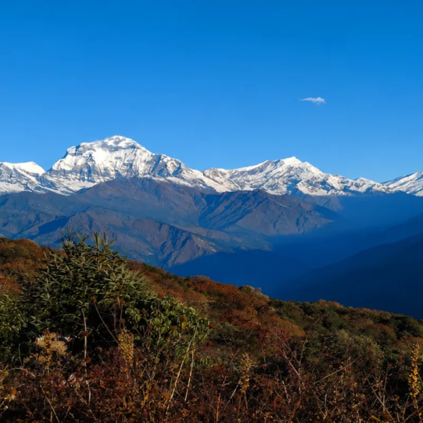 Annapurna Base Camp Trek
